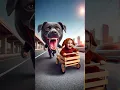 Download Lagu 💥 Evolution of Dog : chassing kid ✅️ #doglover #puppy #dog #shorts #copydoggy