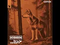 Catch - Kosheen & Ferry Corsten