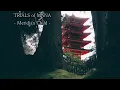 TRIALS of MANA "Meridian Child" arranged with Japanese Instruments[Video Game Music]