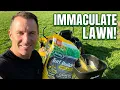 Scotts Turf Builder Weed Feed REVIEW