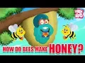 Download Lagu How Do Bees Make Honey? - The Dr. Binocs Show | Best Learning Videos For Kids | Peekaboo Kidz
