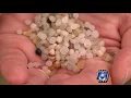 Plastics company fined for dumping pellets into Lavaca Bay tributary