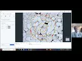 ZEISS Zen Core - How to Measure Grain Size