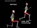 Download Lagu LUNGES Vs. SPLIT SQUATS 🔥