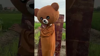 Why is this field full of treasures? Pippi Bear. Look at it and laugh again