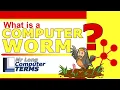 Mr Long Computer Terms What is a Computer Worm
