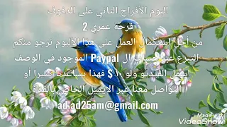 ٣ أشعلوا الليلة برصاص من ألبوم الأفراح الثاني فرحة عمري على الدفوف 