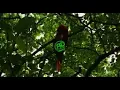 Nation Boss & Yaksta - Emotions (Official Music Video)June 2021