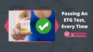 Guaranteed Way To Pass An ETG Test Every Single Time