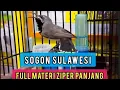Lagu SOGOK ONTONG SULAWESI||MATERI FULL PLECI NEMBAK ZIPER PANJANGllPEMILIK RUDY KRITING MAKASAR