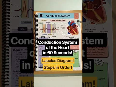 🔥 Conduction System of the Heart in 60 Seconds! [MADE EASY] #nursing #physiology