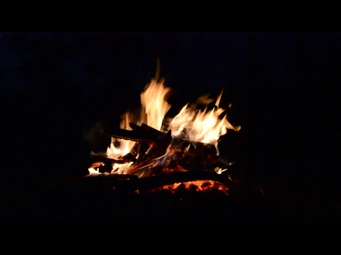 Trailer "El camino desierto"