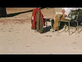 [Playlist] 불어가 주는 생소한 매력들🦉
