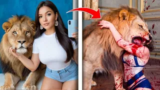 Animales Que Se Comieron a Sus Dueños Frente a Todos