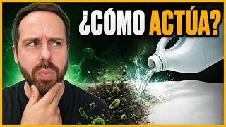 Por qué la LEJÍA destruye casi TODO lo que toca