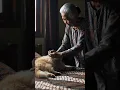 Download Lagu Kucung di bangunin ne dn. #cat #ai #catvideos #pets #kucinglucu  #sad #sadstory