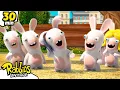 Hello, this is Rabbids! | RABBIDS INVASION | 30 Min New compilation | Cartoon for kids