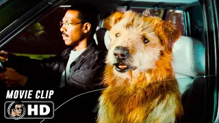 norm macdonald as a dog scene doctor dolittle 1998 movie clip hd
