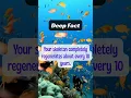 Deep Facts That Make You Question Everything