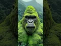 Download Lagu king Kong