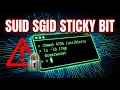STOP Guessing Linux Permissions SUID SGID Sticky Bit Explained