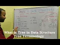 What is Tree in data structure Tree Terminology in Hindi CSE Gyan