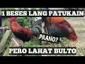 Lagu One Day One Eat | Paano ba Ginagawa | 1 Beses Lang Pinapakain | Linyada ng Mamay 