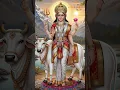 Download Lagu Goddess Shailaputri - Navaratri : Day 1