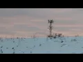 The Niles Michigan cell tower partially in night mode