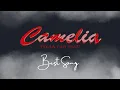 Download Lagu CAMELIA FULL ALBUM TERBAIK 2025 AMELIA MUSIK LAGU KALEM JERU PALING ENAK