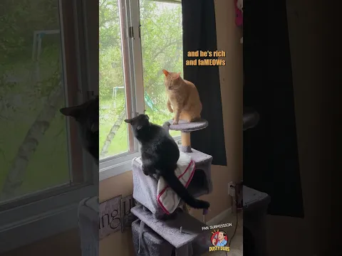 That's Blasphemeow