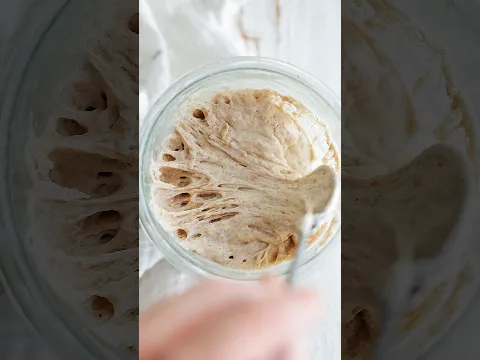 How to build a sourdough starter in 5 days #sourdough #breadmaking