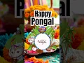 Lagu Pongal Status new | pongal songs | happy pongal whatsapp status tamil #pongal #status #shorts #songs