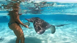 Ep.261 A close affair with Stingrays and Margarida gets bitten – Sailing Grand Cayman