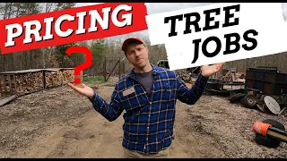 How To Price Out A Tree Job Non Professional Version