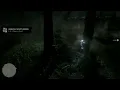 RDR2 Online Easy Snowy Egret Location