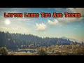 Call Of The Wild Maps Tips And Tricks Ep 1 Layton Lakes