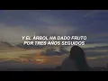 Niki - 24 // español