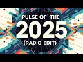 Download Lagu DJ Houtre – Pulse of 2025  (Techno / Progressive House) dj_promo djParty 