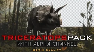 Triceratops Pack Motion Graphics - hive template