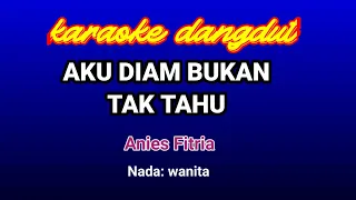 Download AKU DIAM BUKAN TAK TAHU-Anies Fitria || Karaoke MP3