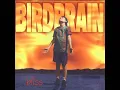 Download Lagu Birdbrain - Roslindale