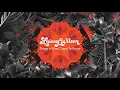 Lainey Wilson - Things A Man Oughta Know (Lyric Video)