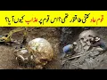 Download Lagu Who Was People of Ad? || Why Allah Destroyed The People of Aad || Qoum Ad Ka Qissa || INFO at ADIL