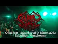 Download Lagu Guttural Slug - Performing Megalodon in Full at Offal Fest Full Multi Angle 4K Set