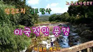 단양 매남이골 오지산골 임도 탐사여행// 노지차박 캠핑!! 썸네일