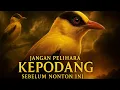 Download Lagu BANYAK YANG MENYESAL BELI \