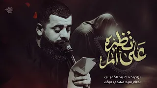 على نظره امل مجتبى الكعبي موكب الامام الرضا 1446 هــ 