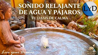 Sonido Relajante del Agua y de los Pájaros 🐦 Música de la Naturaleza para Relajarse y Dormir 💦