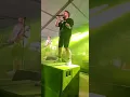 Troglauer - Qué Será, Será (Live am 28.05.2022 in Rothenstadt)